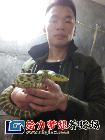 WTWB߼g